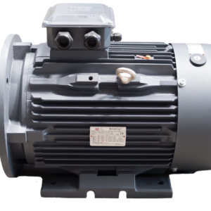TEC 3 phase ATEX Electric Motor 18.5KW foot and flange mounted(B35) Rotation Speed 2940 | 3528 (2 Pole), 160 Frame, Cast Iron Body, Zone 2