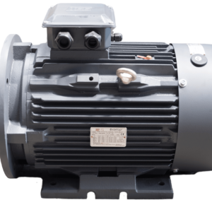 TEC Three Phase Electric Motor, 0.75KW, (1HP), Foot & Flange Mounted(B35), 3000rpm(2 pole), IE2 efficiency, 80M Frame, Cast Iron Body