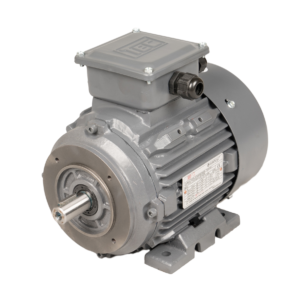 TEC 3 phase ATEX Electric Motor 18.5KW face mounted(B14) Rotation Speed 2940 | 3528 (2 Pole), 160 Frame, Cast Iron Body, Zone 2