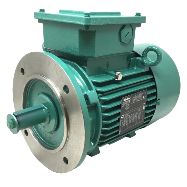 Leroy Somer FLSES Motor
