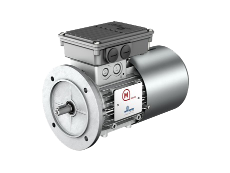 Motovario Single Phase
