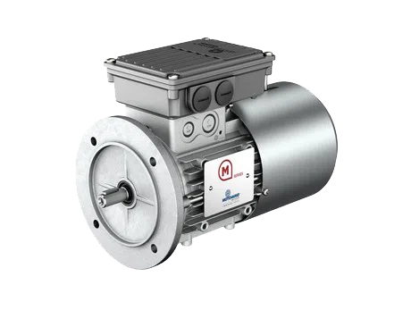 Motovario Single Phase