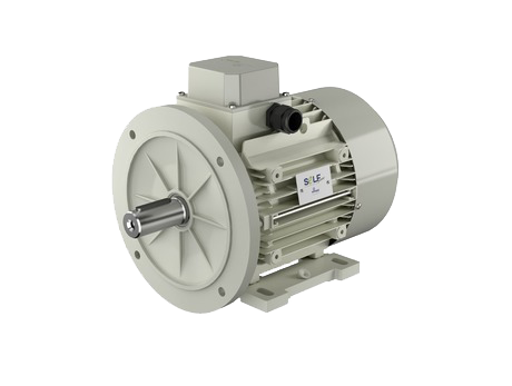 Motovario Synchronous Motor