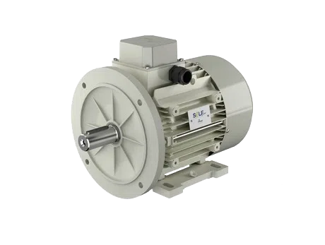 Motovario Synchronous Motor