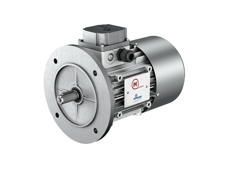 Motovario Three Phase & Brake