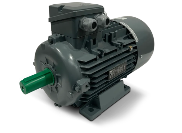 TECO Aluminium Motor