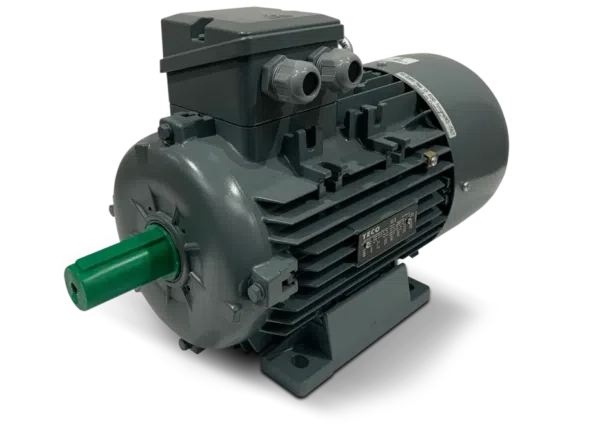 TECO Aluminium Motor