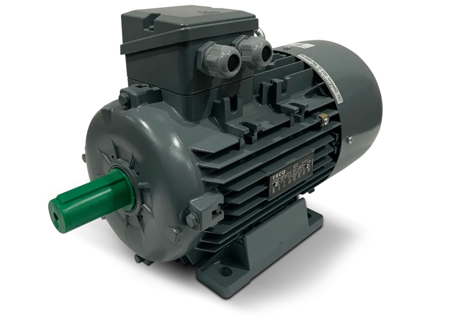 TECO Aluminium Motor