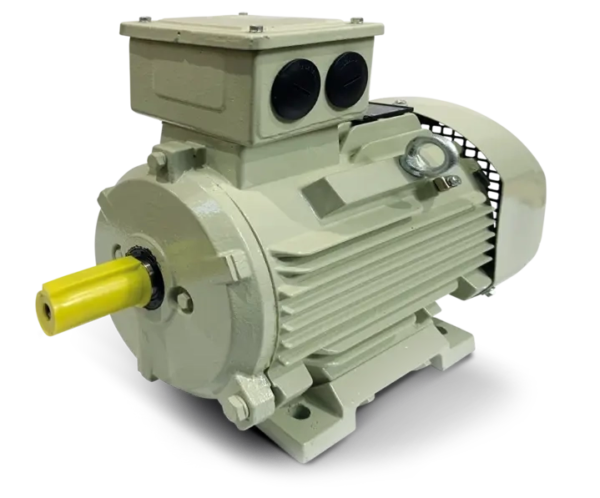 TECO Cast Iron Motor