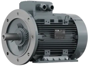 Van Houcke FCM Motor