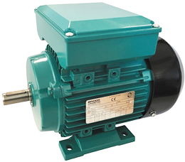 Brook Crompton Series 10 single phase