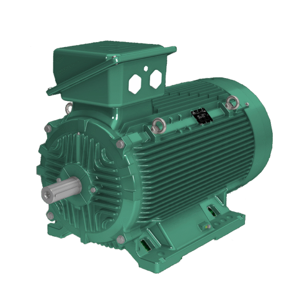 Leroy Somer-CILS-Cast-Iron-Motor