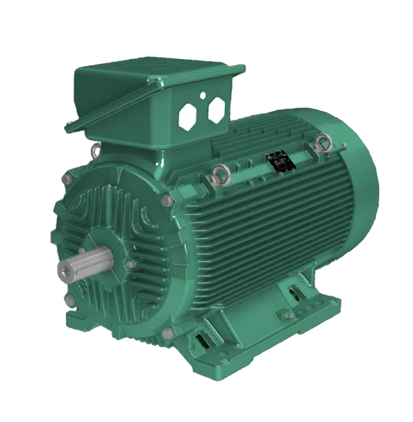 Leroy Somer-CILS-Cast-Iron-Motor
