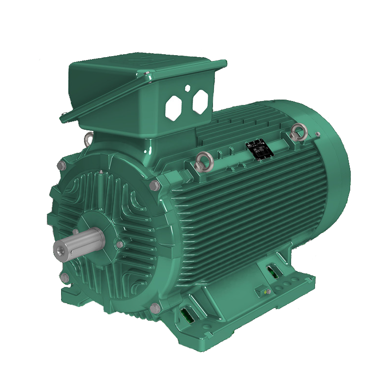 Leroy Somer-CILS-Cast-Iron-Motor