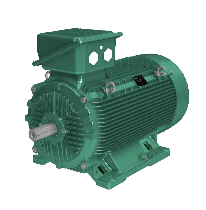 Leroy Somer-CILS-Cast-Iron-Motor