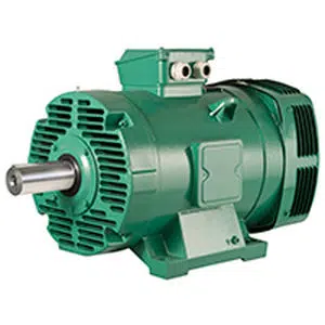 Leroy Somer-PLSES-4500-motor
