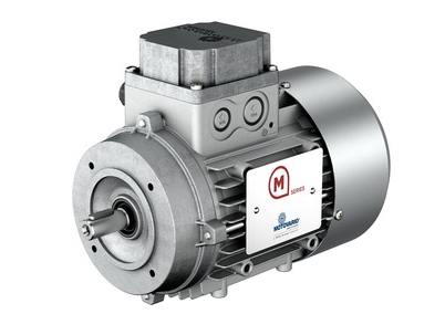 Motovario Double Polarity Three Phase & Brake