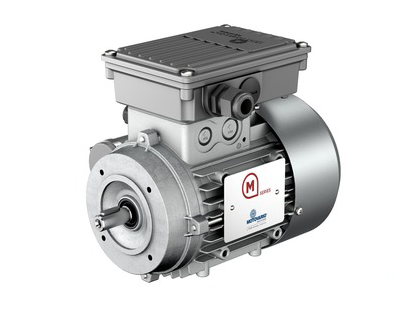 Motovario High Torque Single Phase Motor