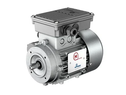 Motovario High Torque Single Phase Motor