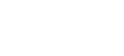 leroy somer logo