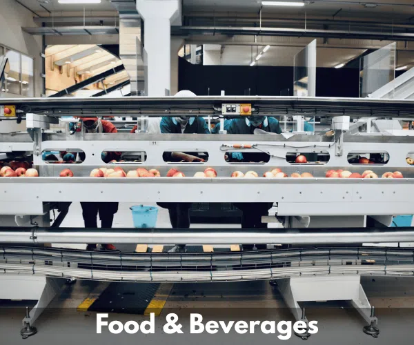 food motors food and beverages sector electric motors
