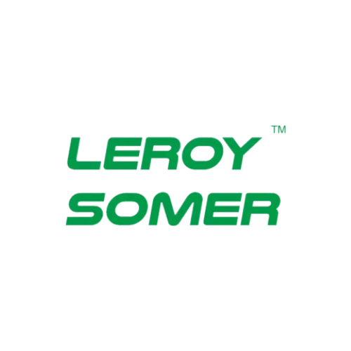 leroy somer new logo