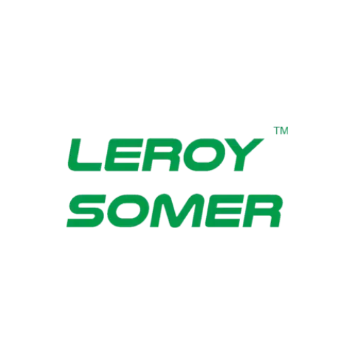 leroy somer new logo