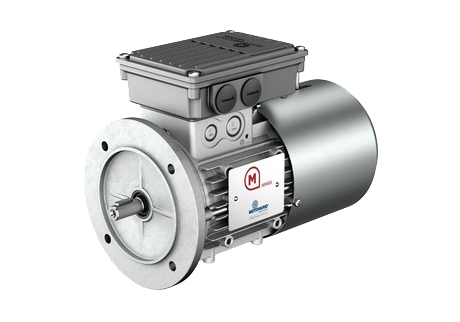 Motovario Single Phase
