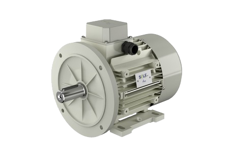 Motovario Synchronous Motor