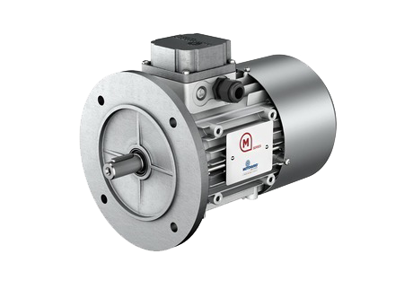 Motovario Three Phase & Brake